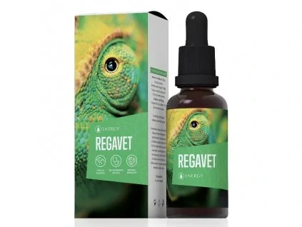 Regavet